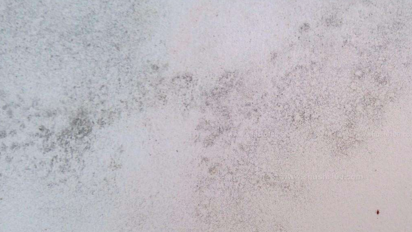 墻面發(fā)霉圖