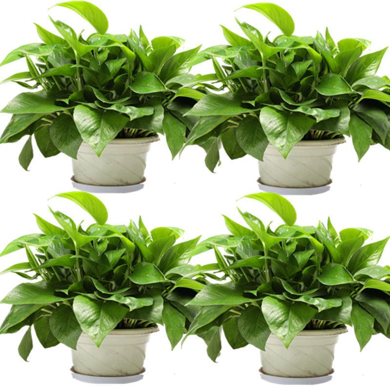 家裝哪家公司好